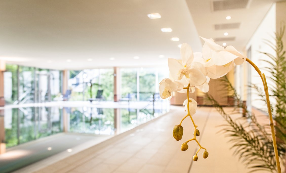 Klinik Dr Baumstark Gmbh Viktoriaweg Bad Homburg Vor Der Höhe Ausstattung Klinik Dr. Baumstark Bad Homburg v. d. Höhe | Bad Homburg v